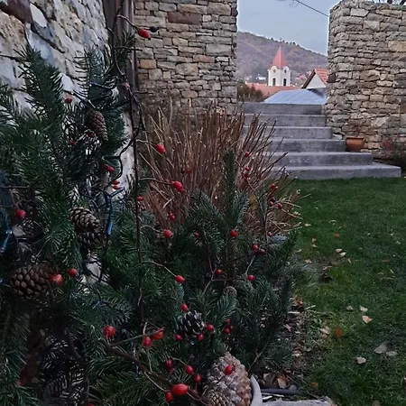 Aracsi Vendeghaz 4* Balatonfüred