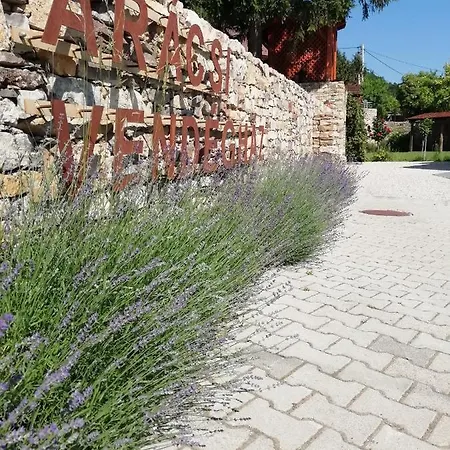 Aracsi Vendeghaz Guest house
