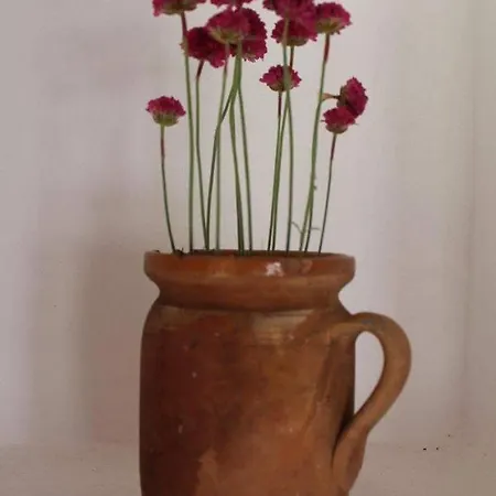 Aracsi Vendeghaz 2*