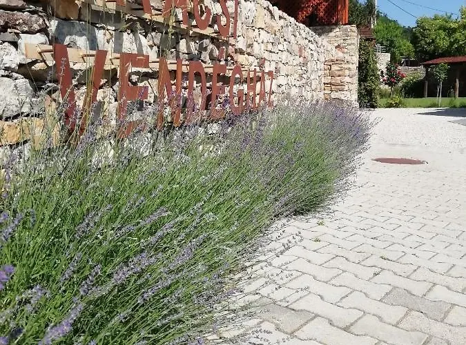 Arácsi Affittacamere